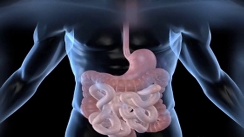 This Simple Drink Removes Pounds of Toxins from Your Colon (Video)