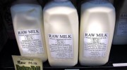 raw-milk-hero